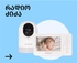 banner-bg