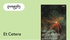 banner-bg