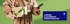 banner-bg