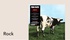 banner-bg