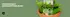 banner-bg