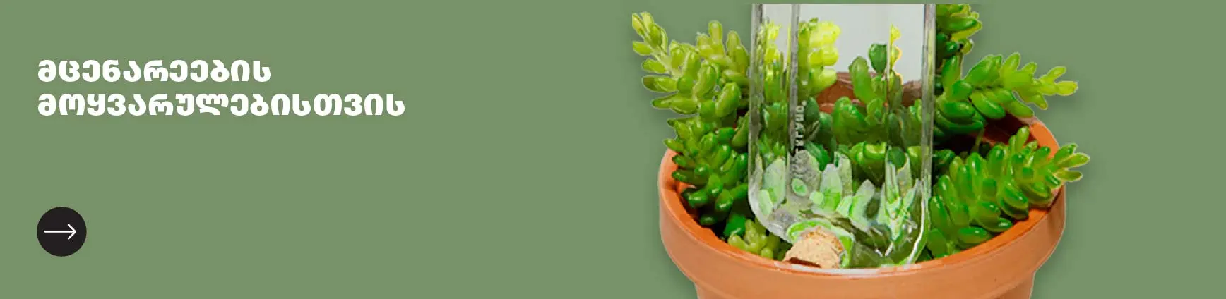 banner-bg